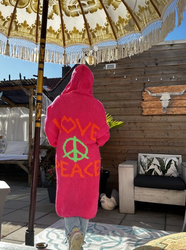 Peace Taken vest -met capuchon -fascia kleur.